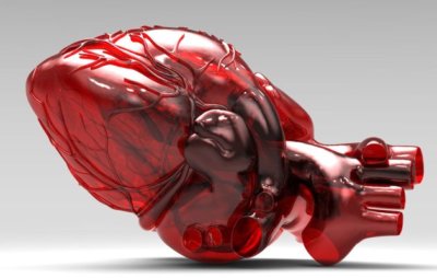 3D-printed internal organs: is it real?