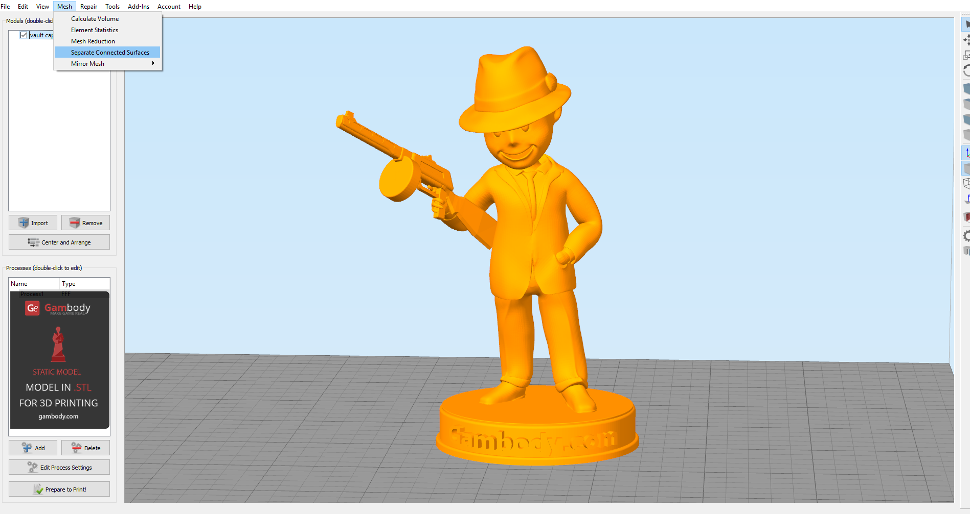 Simplify3D Software