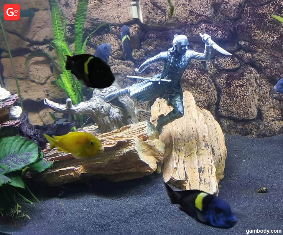 3d printed fish tank decorations