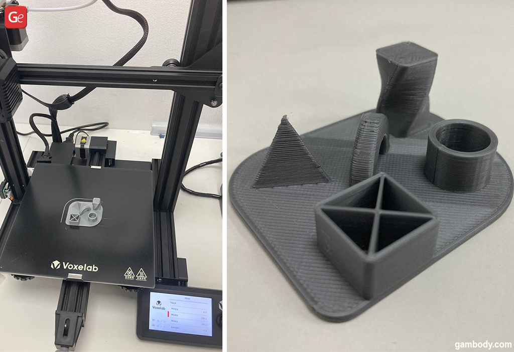 Voxelab Aquila 3D printer test print