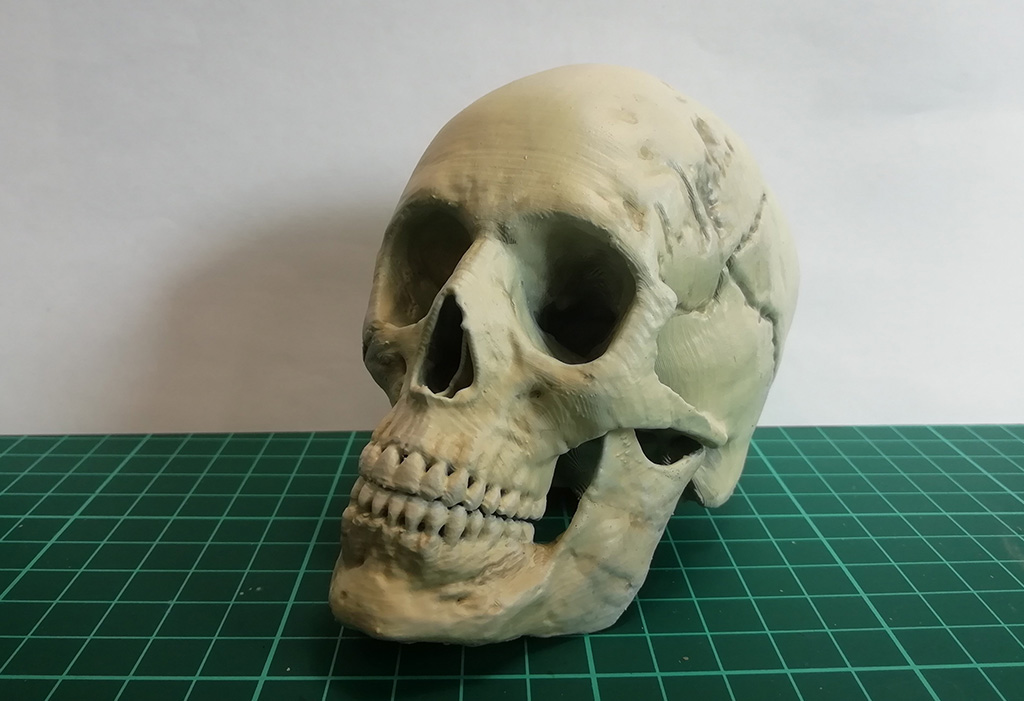 https://www.gambody.com/blog/wp-content/uploads/2023/08/3d-printed-skull.jpg