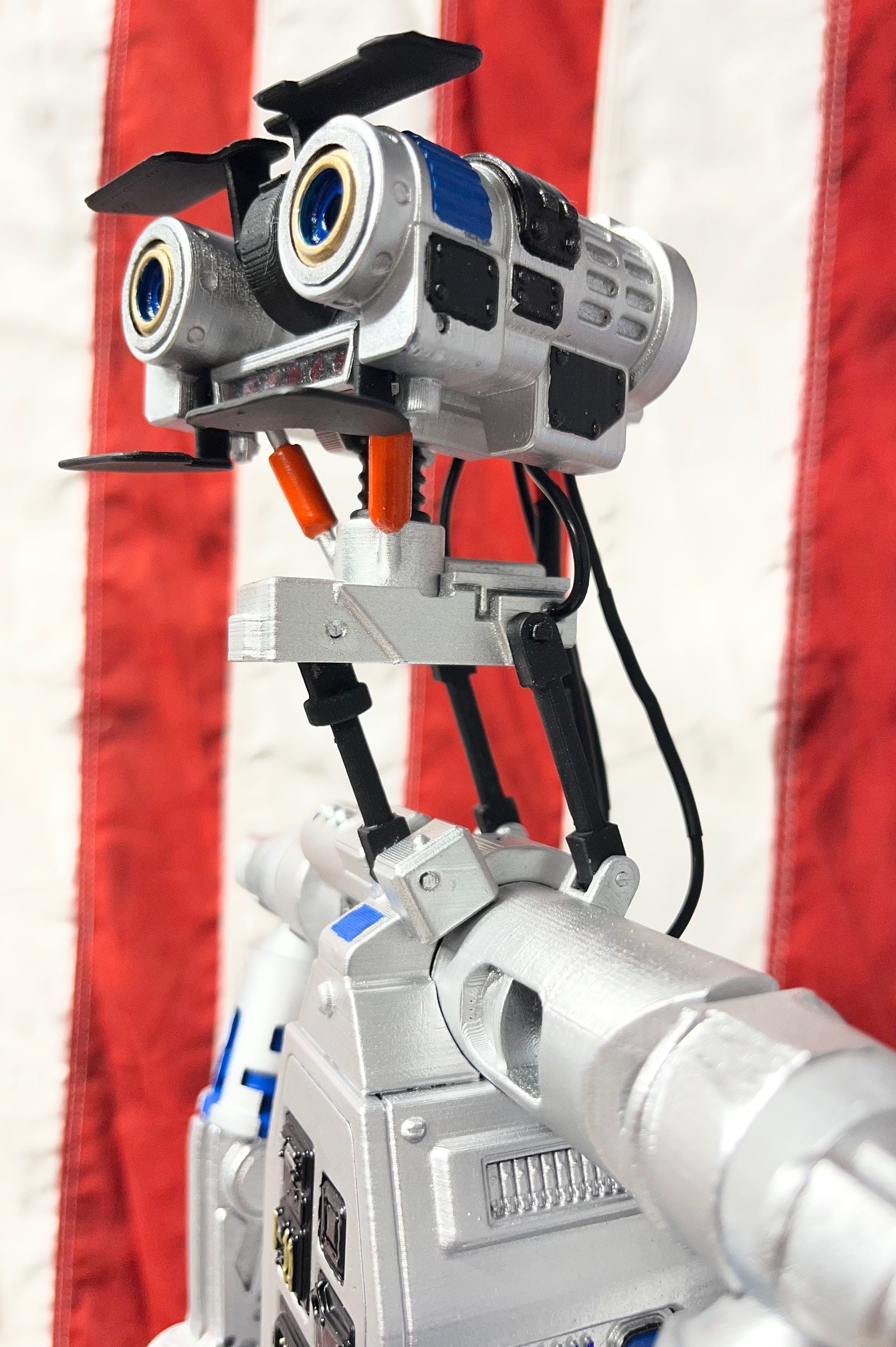 Head/Profile Shot