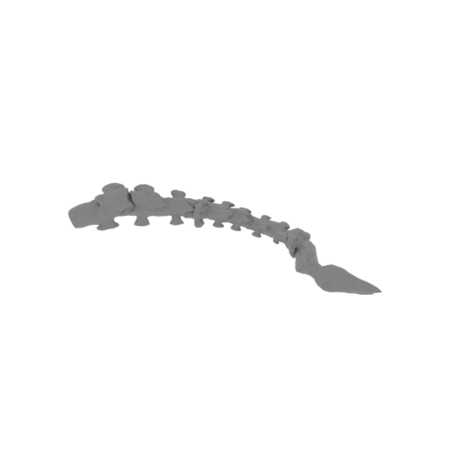 8_spine_FDM(repaired).stl