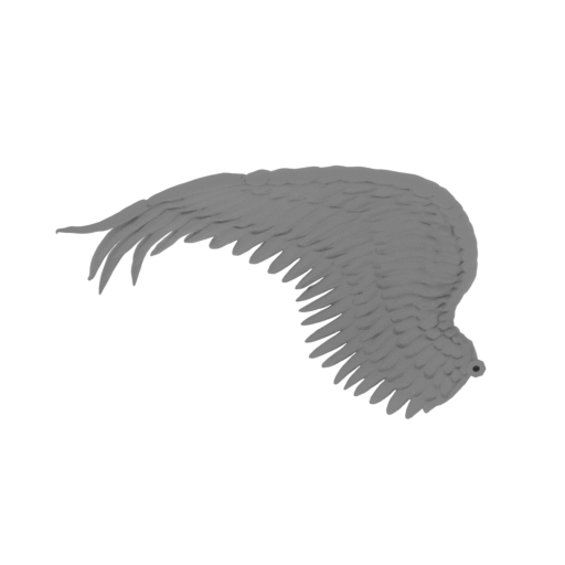 Kayle_Wing_L (repaired) (repaired).stl