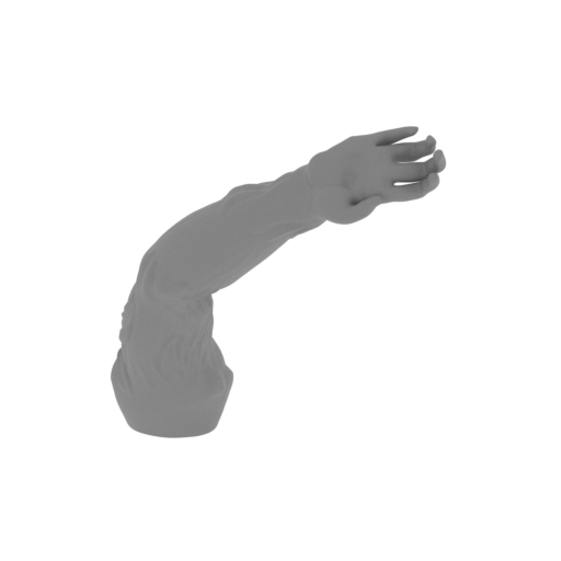 10_sheep_arm_R_FDM(repaired).stl