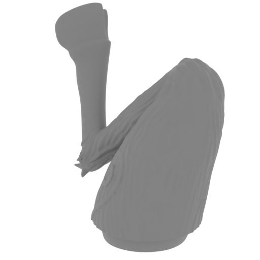 13_sheep_leg_L_FDM(repaired).stl