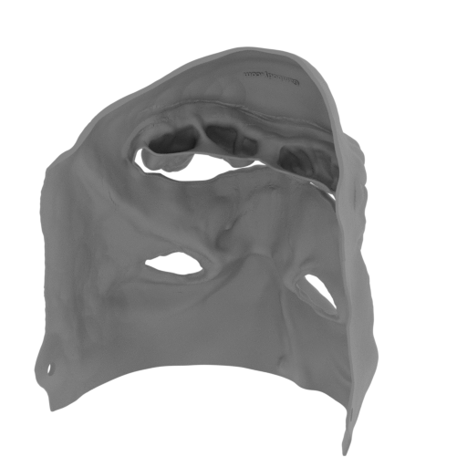 Pudge_mask (repaired).stl