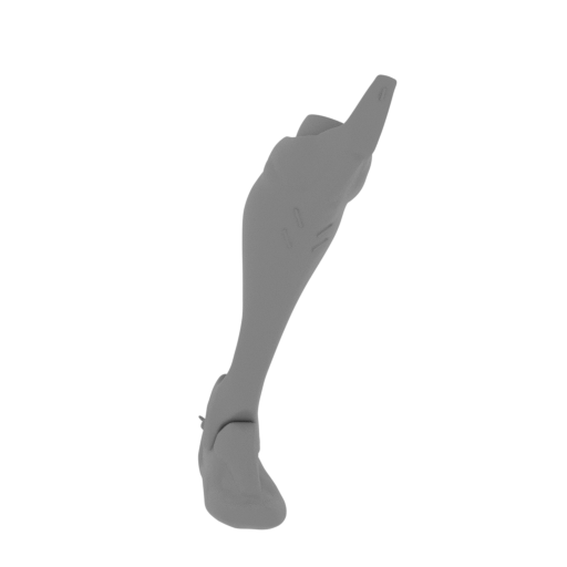 10_leg_R_FDM(repaired).stl