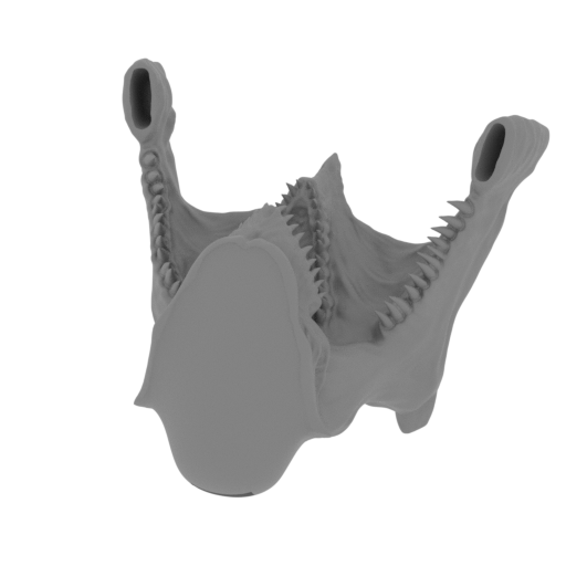 3_Jaw_FDM (repaired).stl