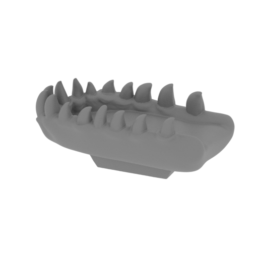 2_jaw_top_FDM(repaired).stl