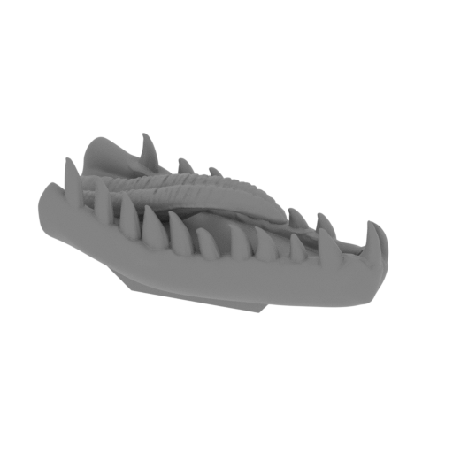 3_jaw_bottom_FDM(repaired).stl