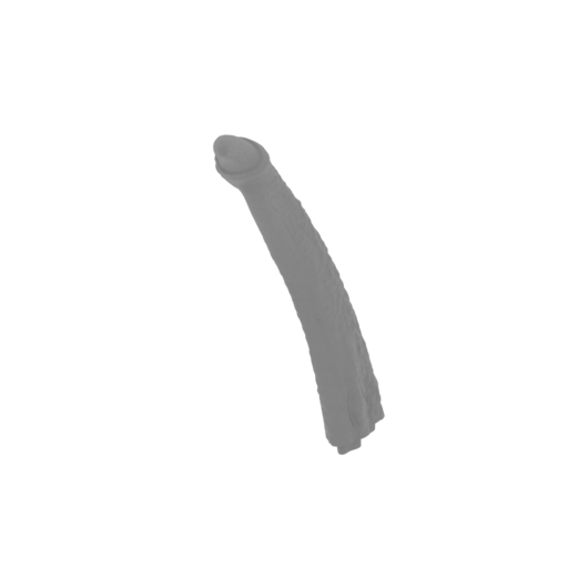 17_wing_L_4_FDM(repaired).stl