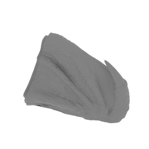 22_wing_R_2_FDM(repaired).stl