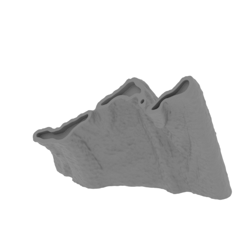 23_wing_R_3_FDM(repaired).stl