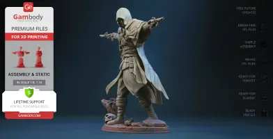A hooded figure in a dynamic pose, wielding two pistols, stands on rocky terrain with a skull.