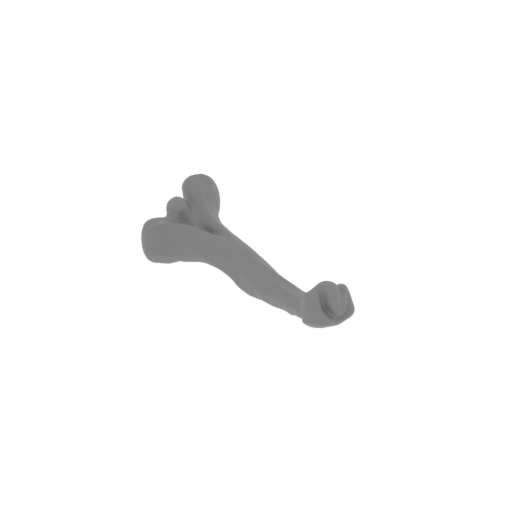 17_bone_on_platform_FDM(repaired).stl