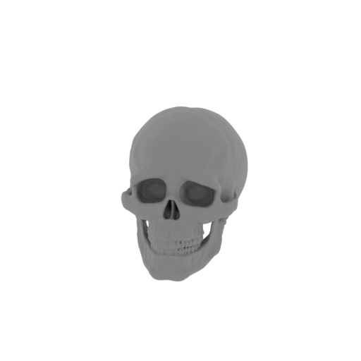 16_scull_on_platform_FDM(repaired).stl
