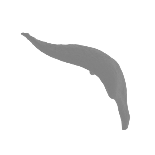 13_tombstone_wing_R_FDM(repaired).stl