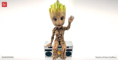 site-photos-Hello-Groot.png