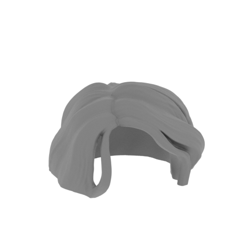 02_WW_Hairs 01_FDM (repaired).stl