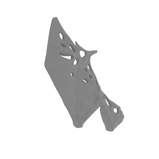 12_wing_R_1_FDM(repaired).stl