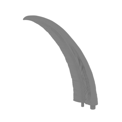 8_tusk_big_R_2_FDM(repaired).stl