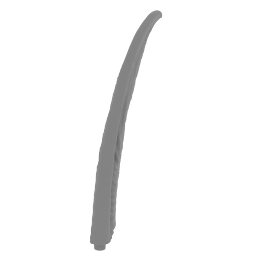 10_tusk_big_L_2_FDM(repaired).stl