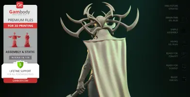 3D model of a character in a cloak with intricate, horn-like headpiece viewed from behind.