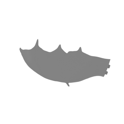 1_Charizard_wing_R.stl