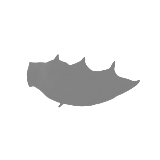 3_Charizard_wing_L.stl