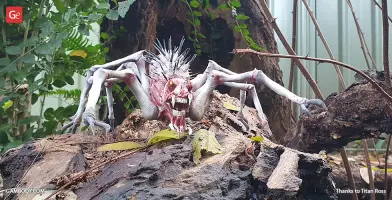 A spider-like creature with spiky body and sharp teeth on a log in a natural setting.