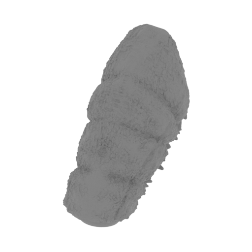 7_tail_2_FDM(repaired).stl