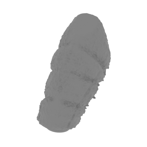 10_tail_2_FDM (repaired).stl