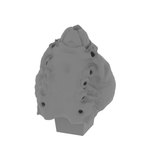 6_Head_FDM (repaired).stl