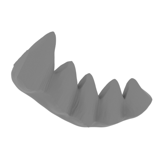 33_Crystal_body_bottom_FDM (repaired).stl