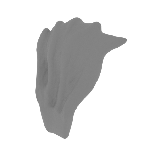 10_Ear_R_FDM (repaired).stl