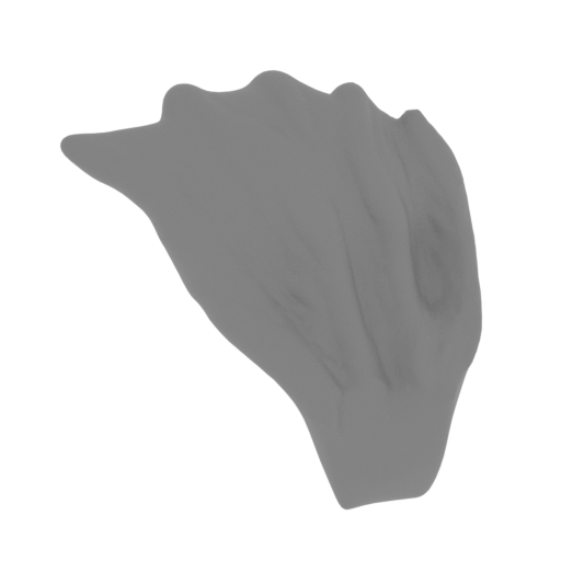 11_Ear_L_FDM (repaired).stl