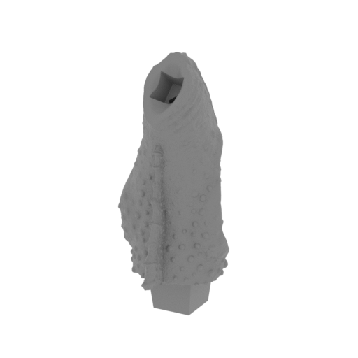 17_Pelvis_FDM (repaired).stl