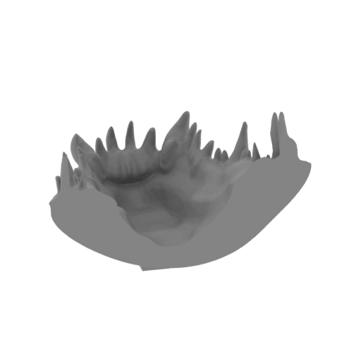 12_head_jaw_2_FDM(repaired).stl