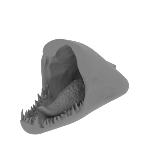 12_head_jaw_1_FDM(repaired).stl