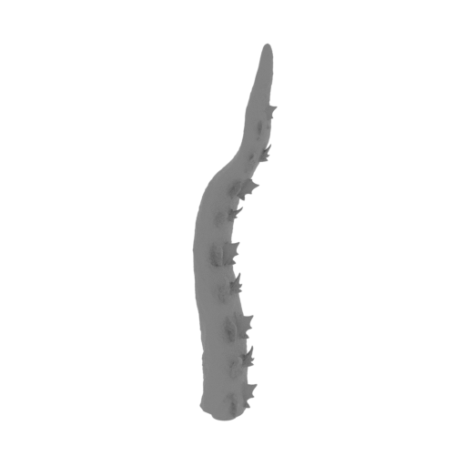 14_tail_4_v2_FDM(repaired).stl