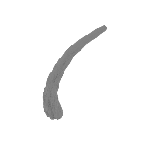 6_tail_6_SLA(repaired).stl