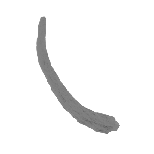 6_Tail_6_SLA (repaired).stl