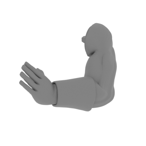 Tienshinhan bras gauche.stl