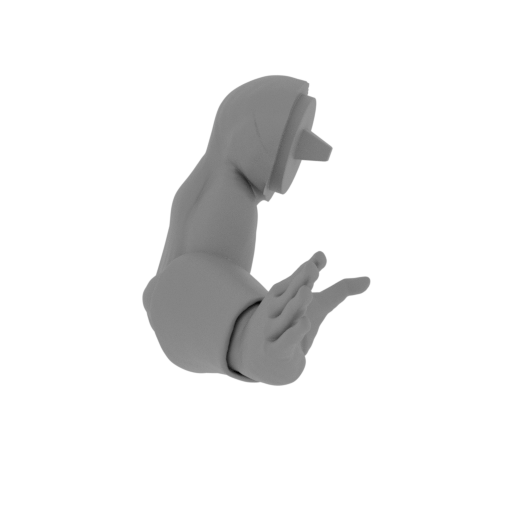 Tienshinhan bras droit.stl