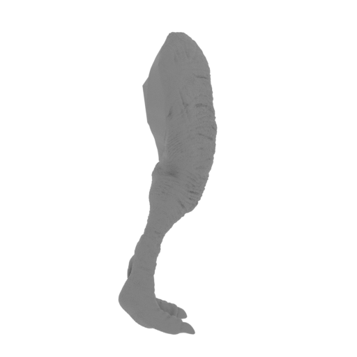 8_Leg__R_FDM (repaired).stl