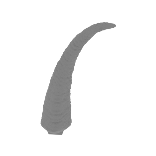 11_Tail_2_FDM (repaired).stl