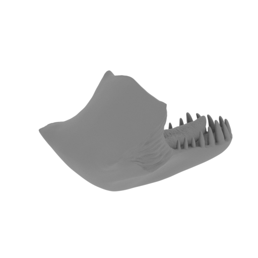 1_Lower_jaw_V2_FDM (repaired).stl