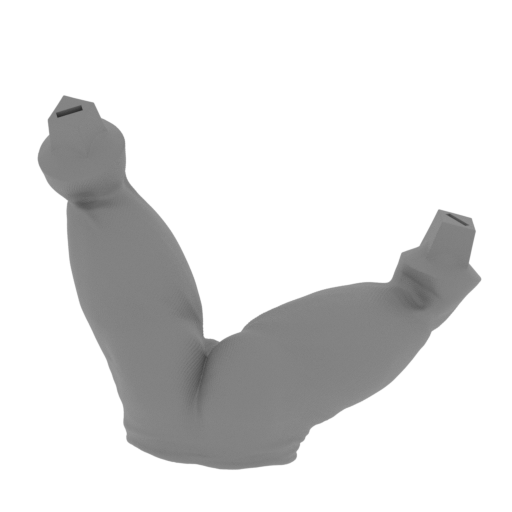 14_Pelvis_FDM (repaired).stl