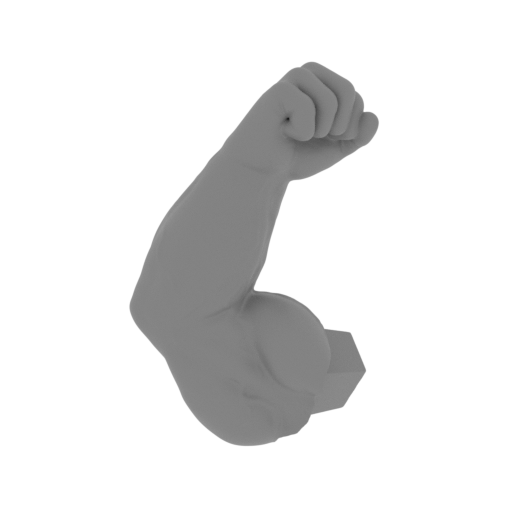 10_arm_R_FDM__repaired.stl